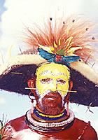Click to Enlarge