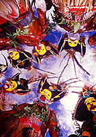 Click to Enlarge